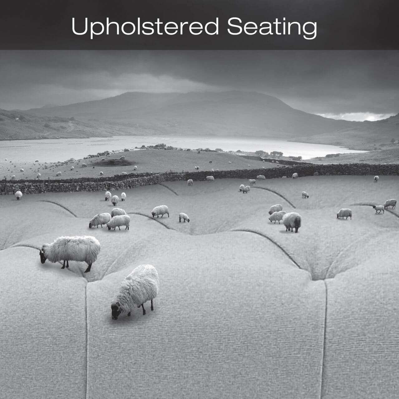Upholstered Seating